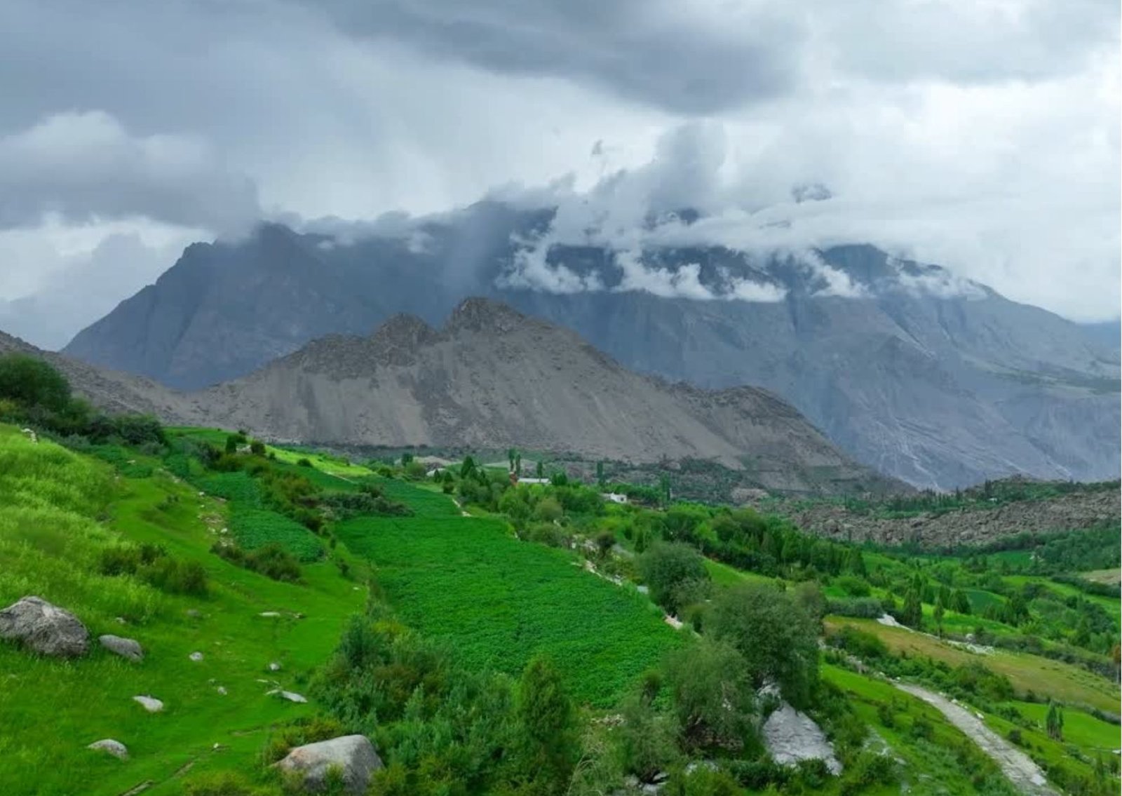 Kashmir